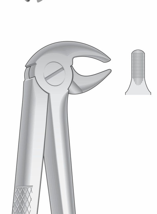 Lower Cuspids and Premolar Extraction Forceps G1007 Fig 13 | Dental Surgical Instrument Pakistan
