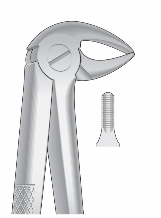 Lower Incisors Premolar and Roots Extraction Forceps G1008 Fig 33 | Dental Surgical Instrument Pakistan