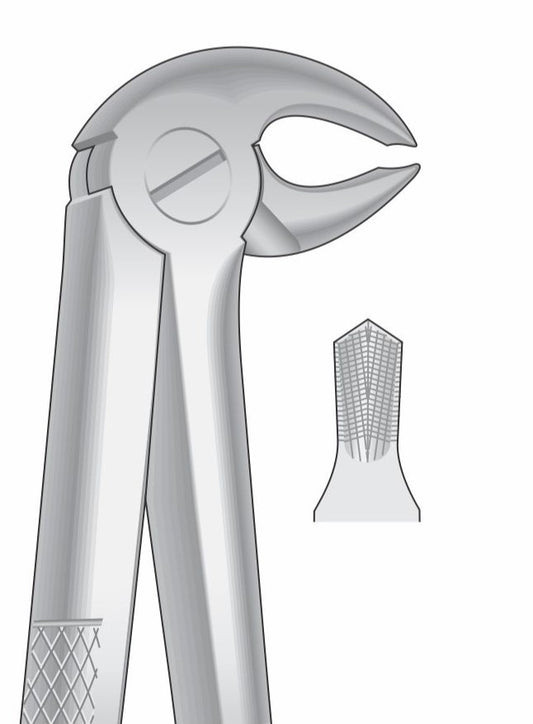 Lower Molars Extraction Forceps G1010 Fig 22 | Dental Surgical Instrument Pakistan