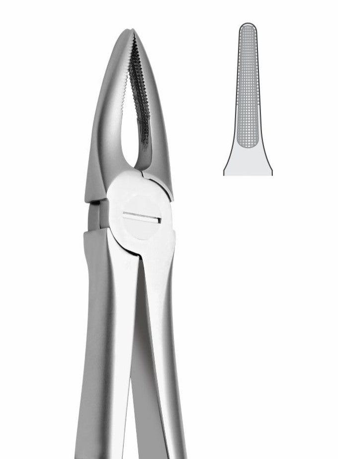 Upper Roots and Incisors Extraction Forceps G1011 Fig 29 | Dental Surgical Instrument Pakistan