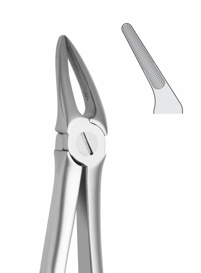 Upper Roots Extraction Forceps G1012 Fig 30 | Dental Surgical Instrument Pakistan