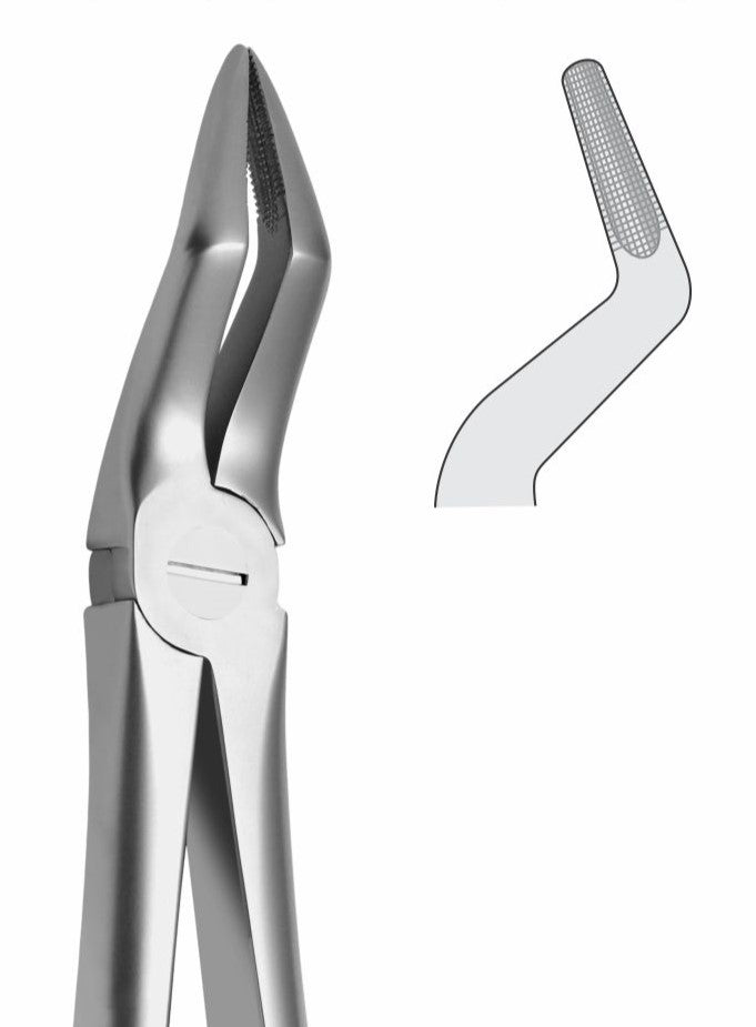 Upper Roots Extraction Forceps G1013 Fig 51 | Dental Surgical Instrument Pakistan