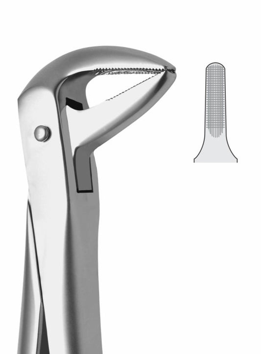 Lower Roots Extraction Forceps G1016 Fig 74 | Dental Surgical Instrument Pakistan