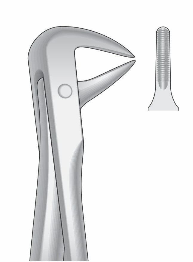 Lower Roots Incisor and Bicuspids Extraction Forceps G1017 Fig 74N | Dental Surgical Instrument Pakistan