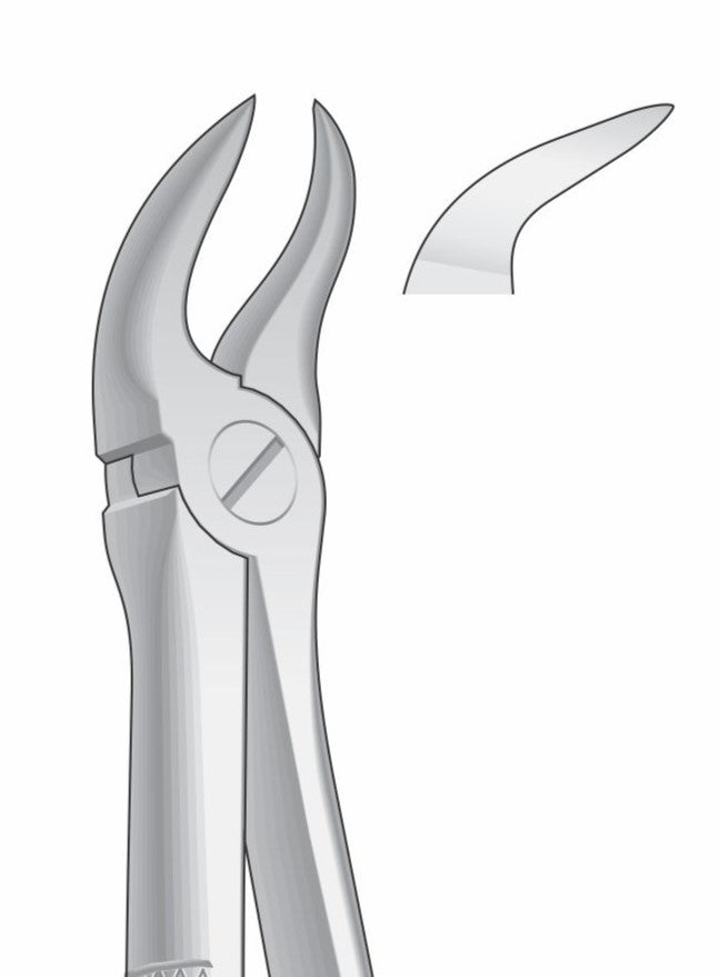 Lower Molars Extraction Forceps G1023 Fig 87 | Dental Surgical Instrument Pakistan