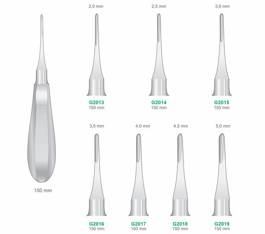 Straight Luxators G2013-G2019 150mm Handle | Dental Root Elevator Instruments