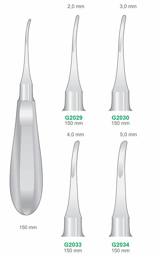 Curved Luxators 150mm Handle | Dental Root Elevator Instruments