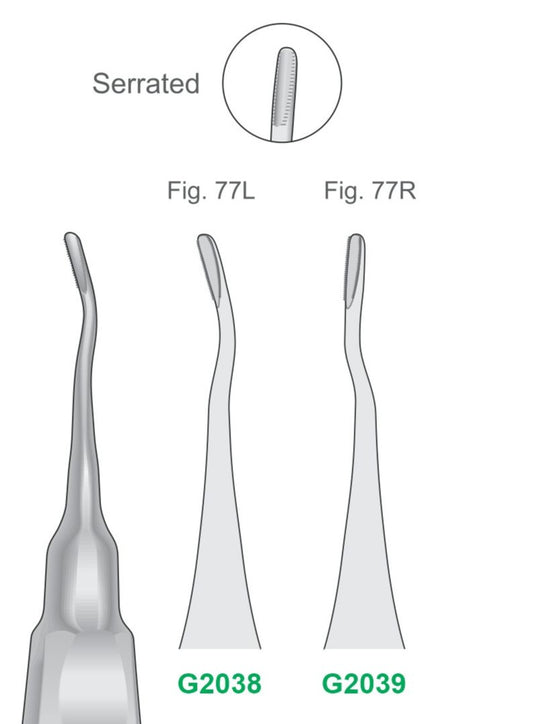 Serrated Apexo Elevators G2038 Fig 77L & G2039 Fig 77R 160mm Handle | Dental Root Elevator Instruments Pakistan