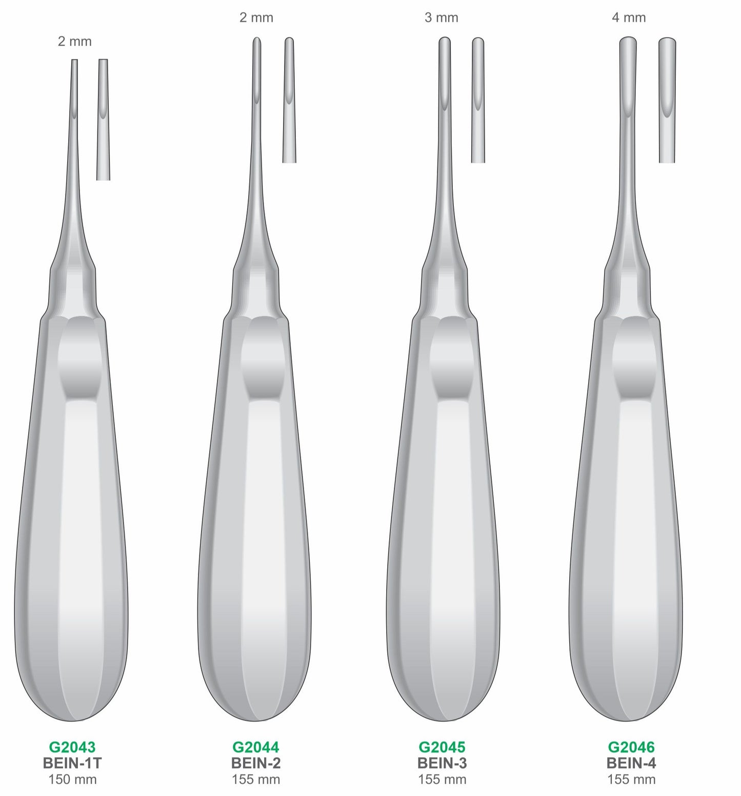 BEIN Elevators 150mm & 155mm Handle | Dental Surgical Instruments