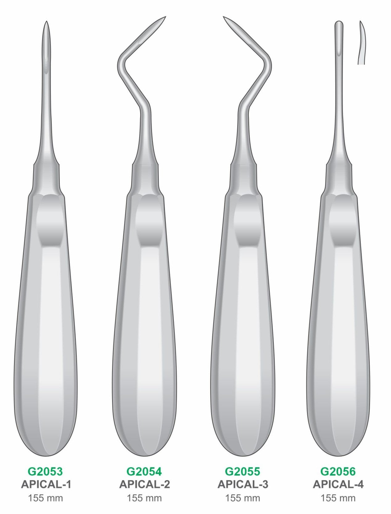 Apical Elevators  | Dental Surgical Instruments