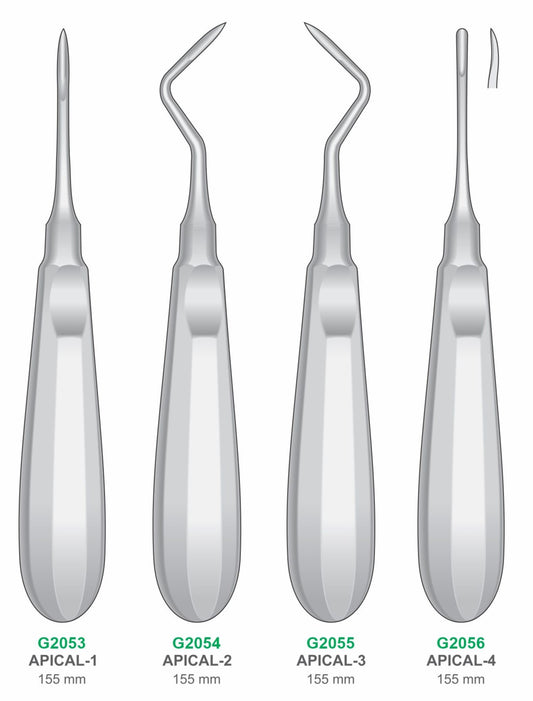 Apical Elevators  | Dental Surgical Instruments