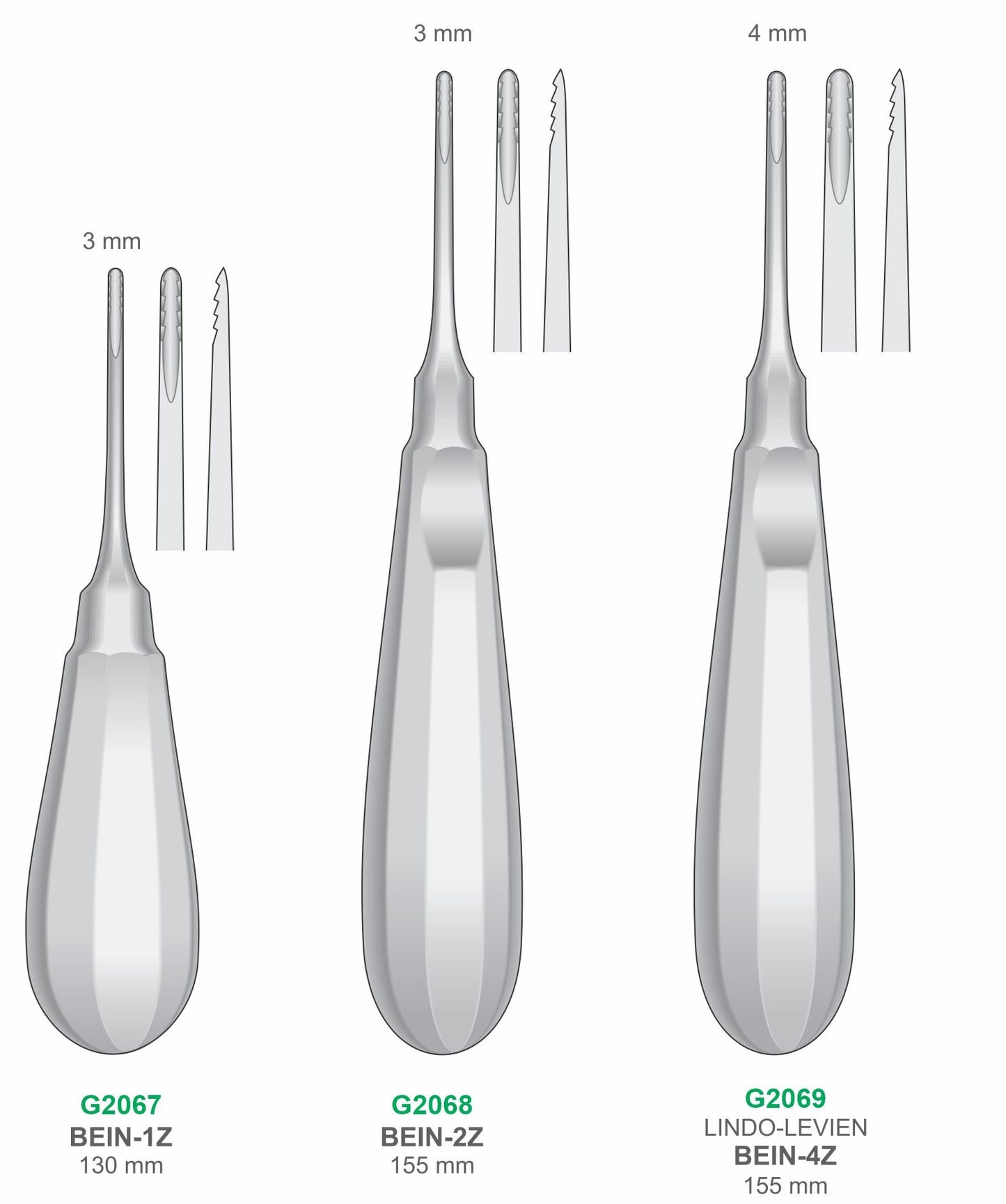 Premium Dental Root Elevator Set Stainless Steel Surgical Instruments