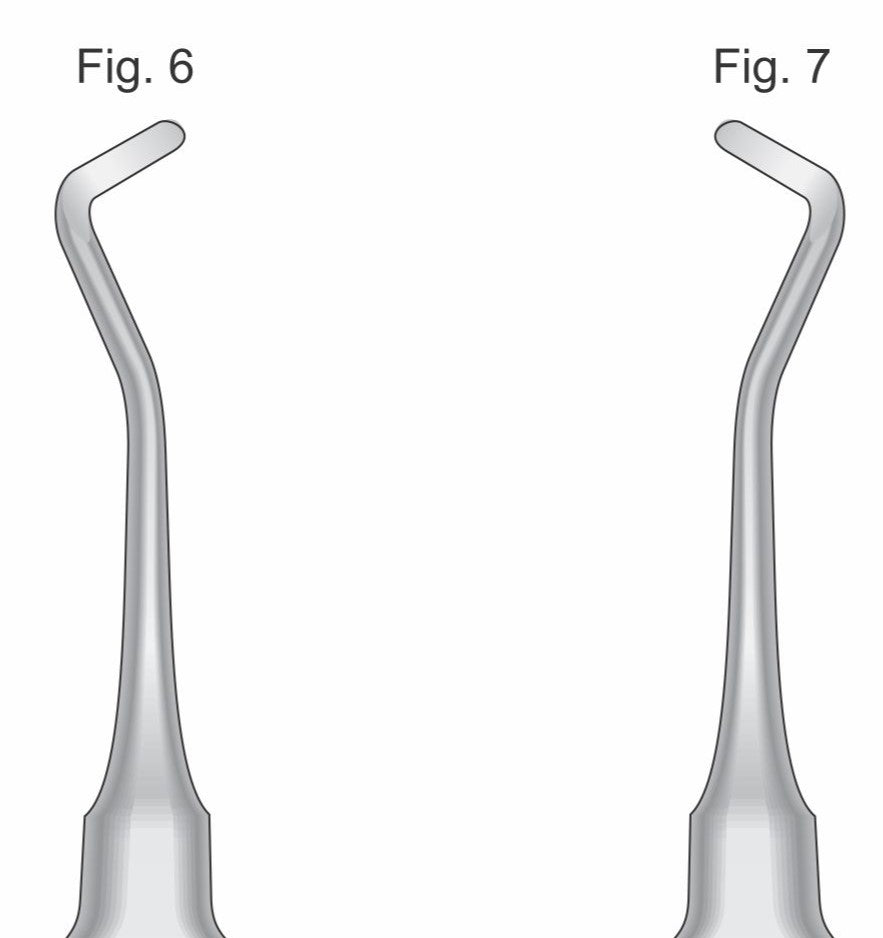 Premium Dental Seldin Root Elevator Stainless Steel Surgical Instrument