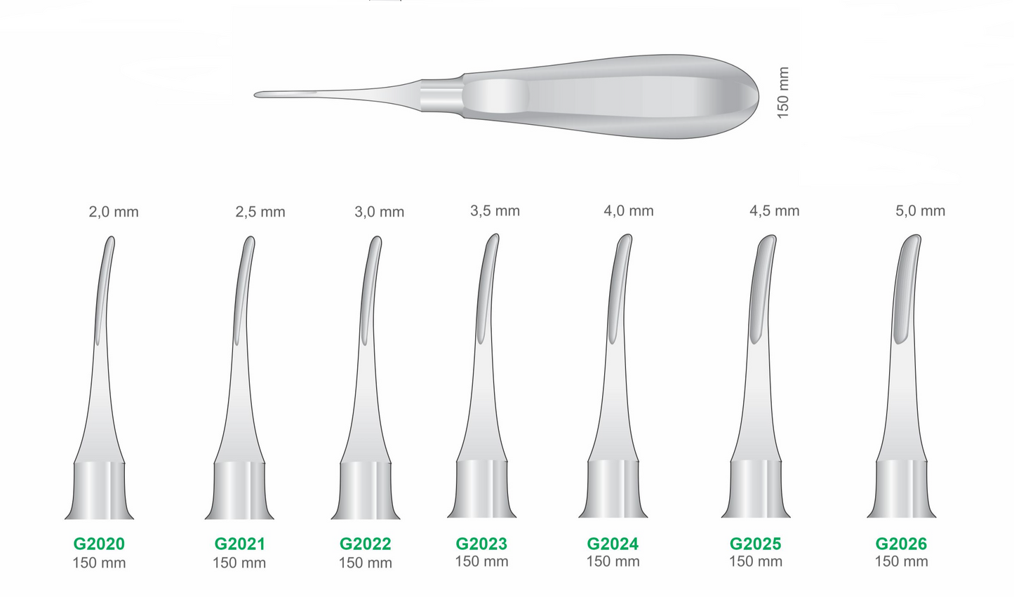 Premium Dental Curved Root Elevator Set Stainless Steel Surgical Instruments