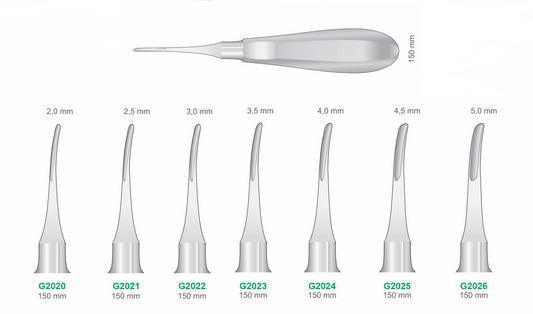 Premium Dental Curved Root Elevator Set Stainless Steel Surgical Instruments