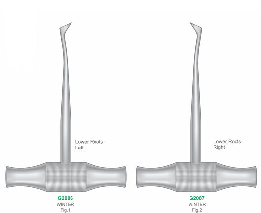 Premium Dental Winter Root Elevator Stainless Steel Surgical Instruments