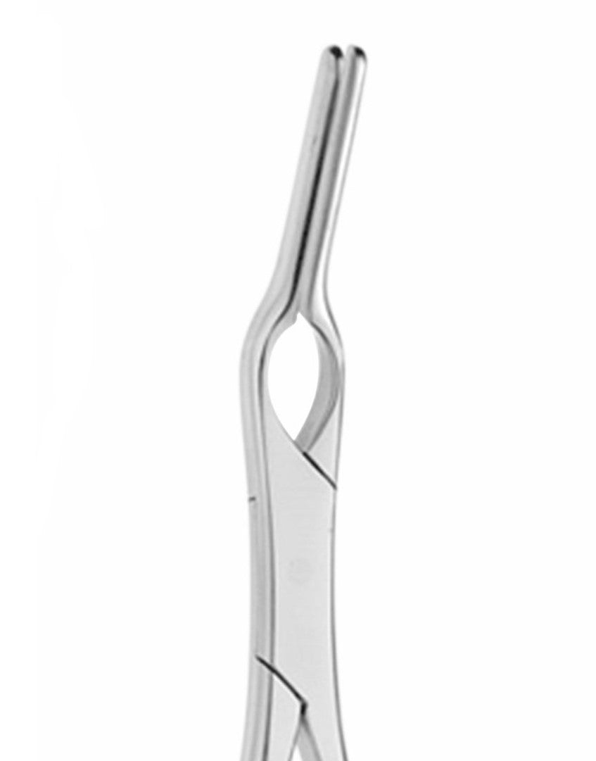 Asch Septum Straight Forceps | Surgical Instrument