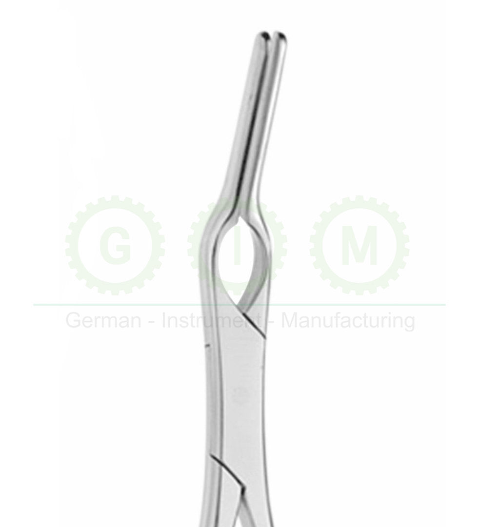 Asch Septum Straight Forceps | Surgical Instrument
