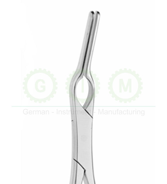 Asch Septum Straight Forceps | Surgical Instrument