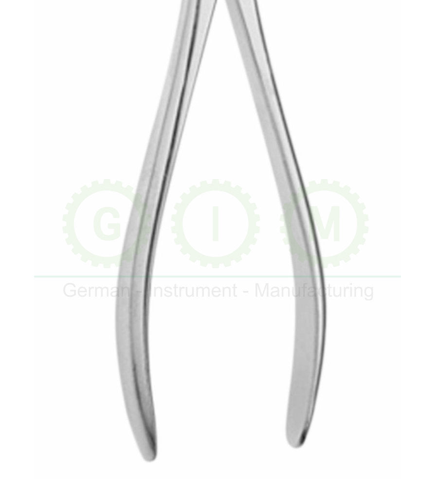 Asch Septum Straight Forceps | Surgical Instrument