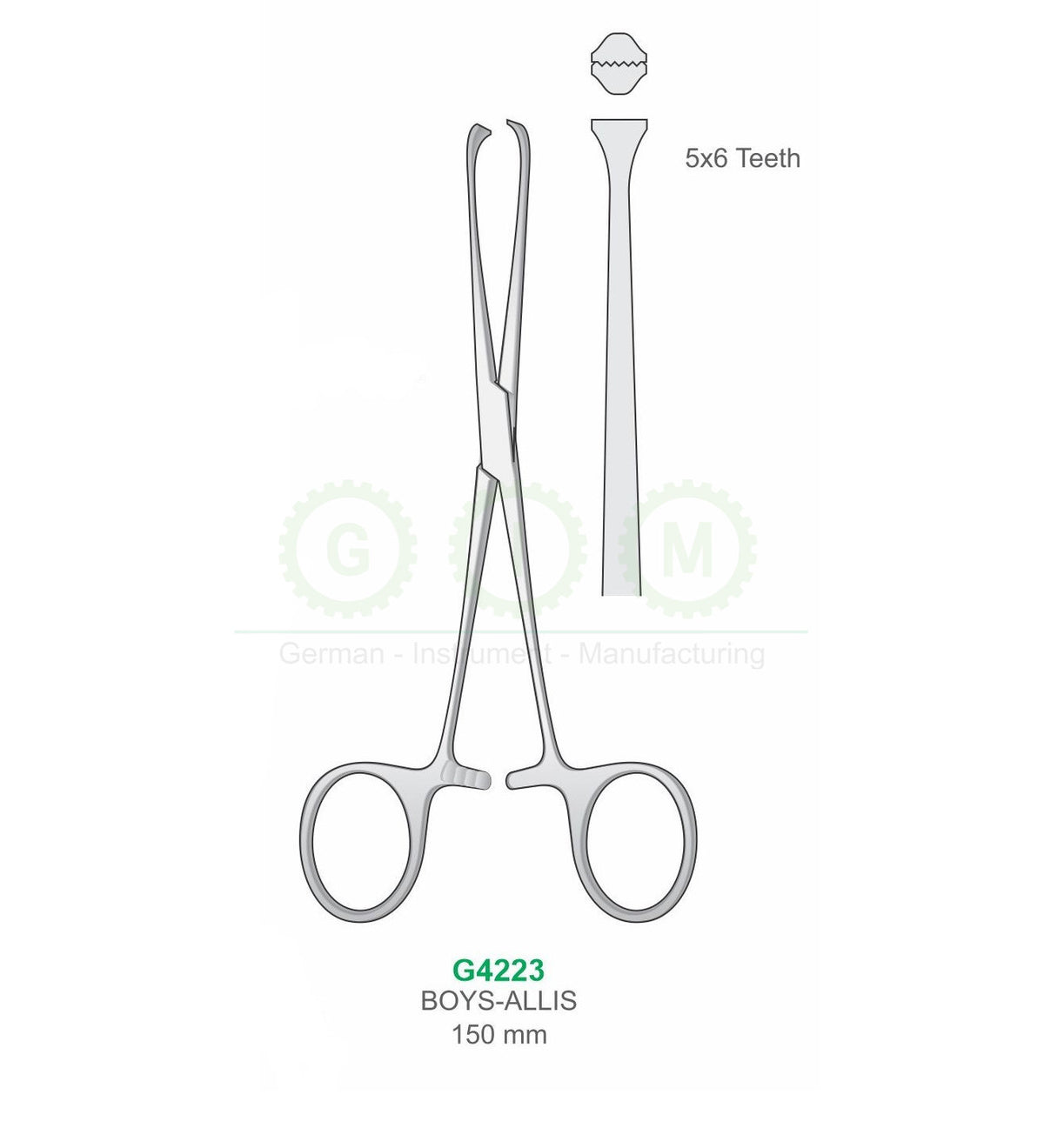 Baby Allis Hemostatic Forceps