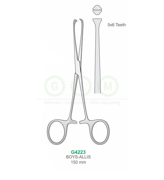 Baby Allis Hemostatic Forceps