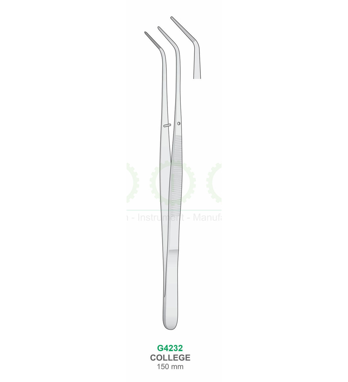 Collee Cotton and Dressing Pliers
