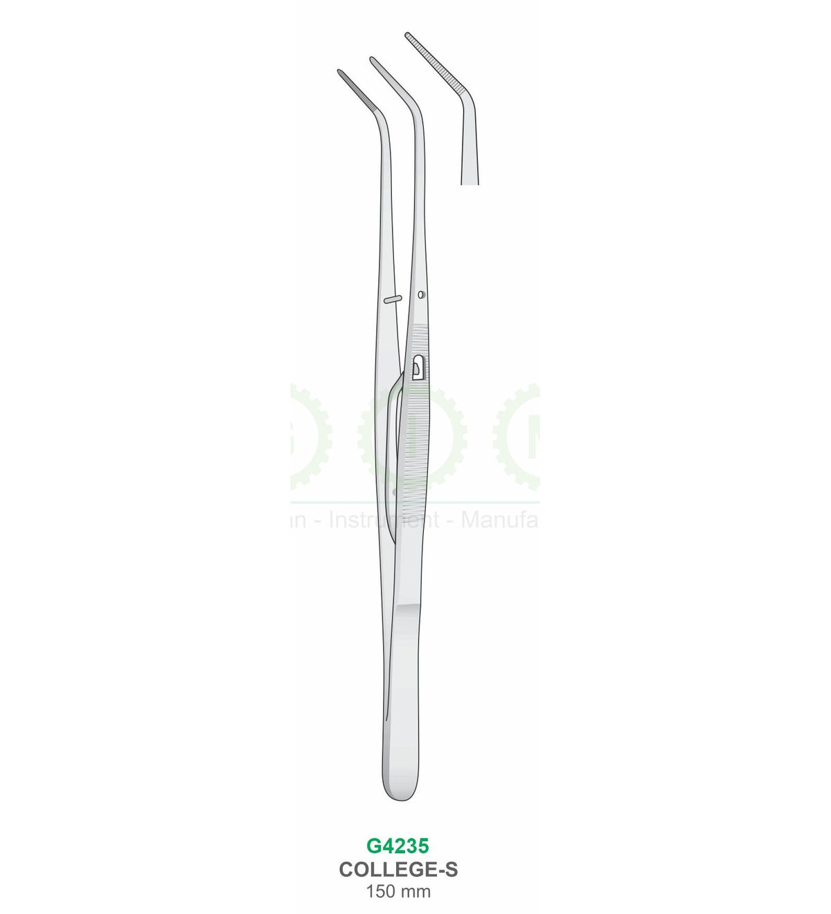 Collee Cotton and Dressing Pliers